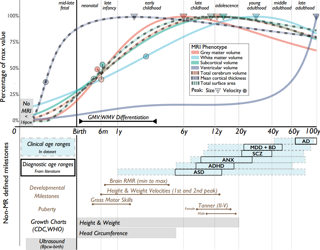 Brain Health Across Lifespan  Neurodevelopmental Disorder