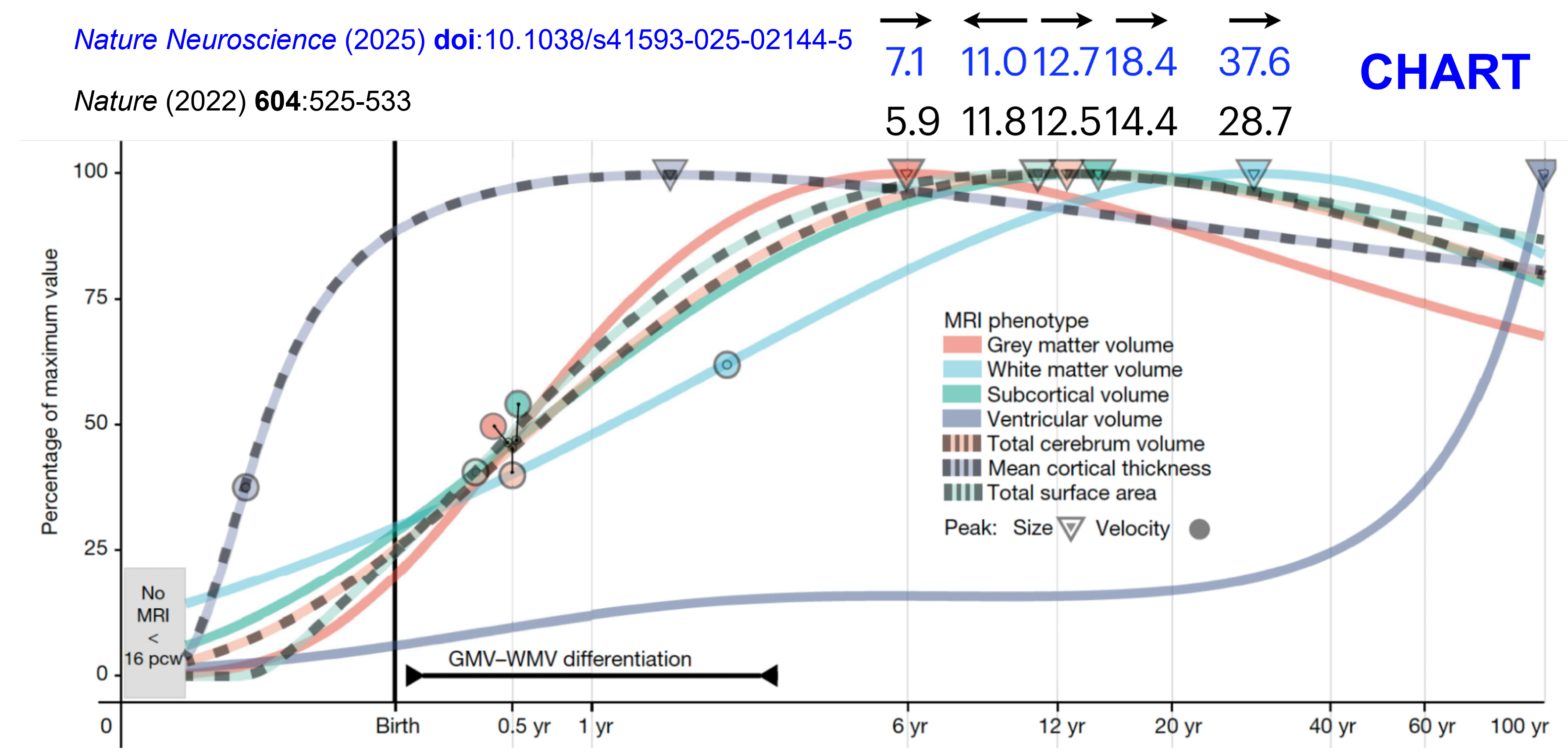 图表 AI 生成的内容可能不正确。